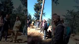 वीडियो में देखें जयराम के सिराज में 70 करोड की सडक के हाल, सेब की पेटी नौ सौ की, वामपंथी प्रत्यांशी राणा के बोल