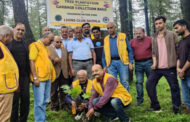 लायंस क्‍लब शिमला के ‘शेरों’ ने क्रैग्‍नैनो नेचर पार्क में पौधे रोपें और किया ये काम