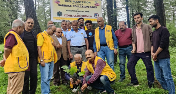 लायंस क्‍लब शिमला के ‘शेरों’ ने क्रैग्‍नैनो नेचर पार्क में पौधे रोपें और किया ये काम